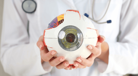 Eye Health Made Simple: Learn About Our OptimEyes Supplement - Metabolics