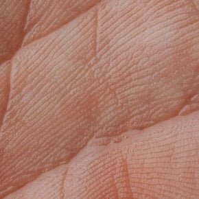 Nutrition News 3rd March 2022 - Metabolics