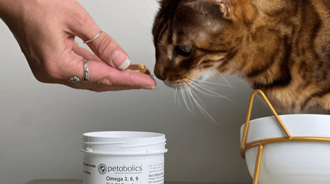 Omega Support for Pets: Natural Care for Dogs, Cats & Horses - Metabolics