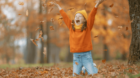 Best Nutritional Supplements for Autumn: Seasonal Wellness Guide - Metabolics