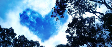 CoQ10: A Closer Look at This Essential Nutrient - Metabolics