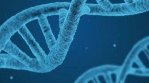 Epigenetics, An International Guide | Epigenetics Literally Means “ On Top Of The Gene”. - Metabolics