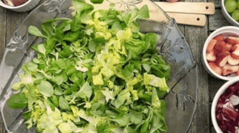 Everything You Need to Know About Our Vegan D3 and K2 Formula - Metabolics