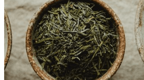 Green Tea Extract Capsules | Gentle Daily Support from Nature - Metabolics