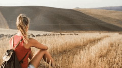 Hesperidin | Pure Citrus-Derived Bioflavonoid for Balanced Nutrition - Metabolics