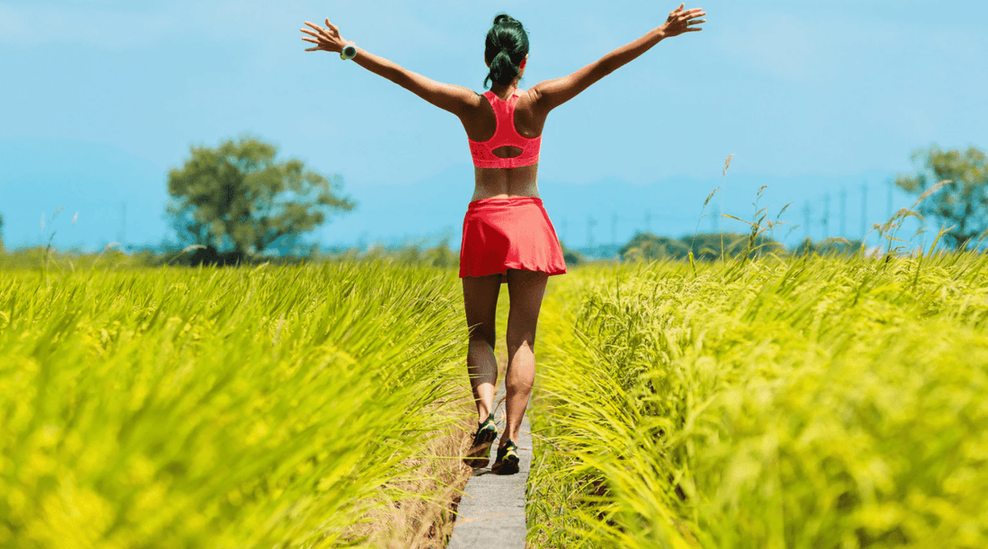 How Does The Body Produce Energy? - Metabolics