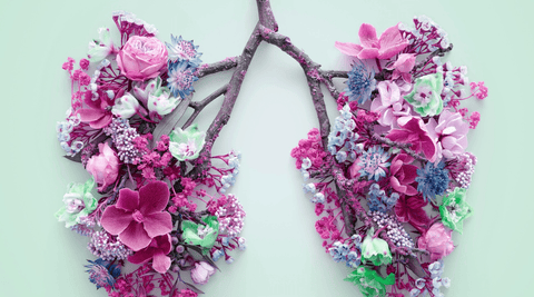 Natural Hay Fever Relief: A Complete Guide - Metabolics