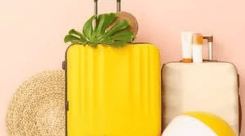 Nutrition and Wellness Tips for Healthy Summer Travel - Metabolics
