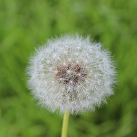 Nutrition News 10th May 2022 - Metabolics