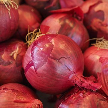 Nutrition News 19th October 2023 - Metabolics