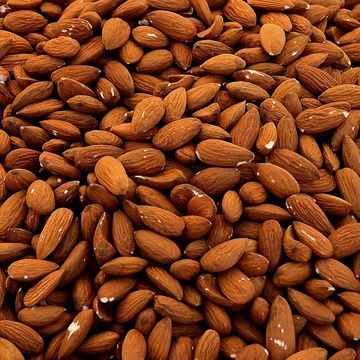 Nutrition News 21st September 2023 - Metabolics
