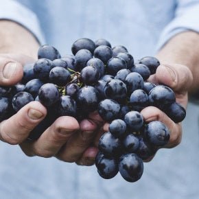 Nutrition News 22nd January 2021 - Metabolics