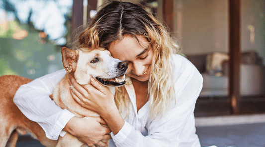 Omega 3 for Dogs, Cats and Horses: What to Know - Metabolics
