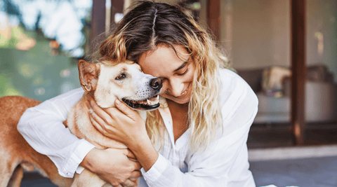 Omega Support for Pets: Natural Care for Dogs, Cats & Horses - Metabolics