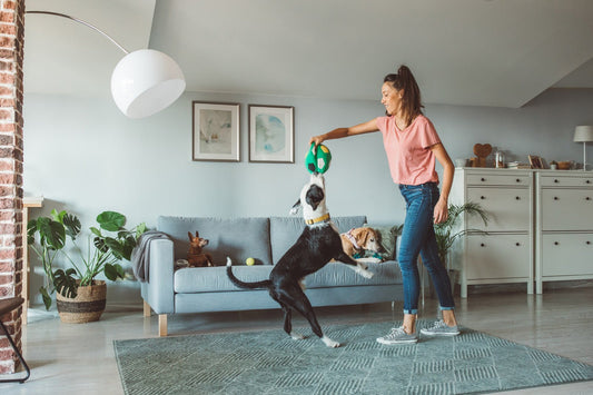 Pet Supplements Guide: Supporting Your Pet’s Health & Happiness - Metabolics