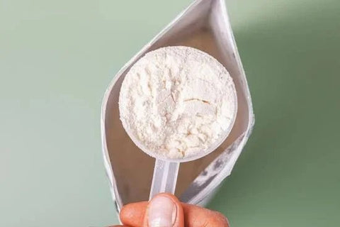 Support Strength & Mobility As You Age – With the Nutristrength Protein Range - Metabolics
