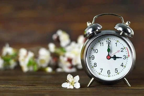 🌞 The Clocks Are Changing – Are You Ready? - Metabolics