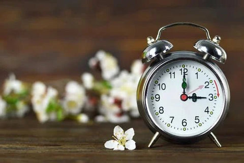 🌞 The Clocks Are Changing – Are You Ready? - Metabolics