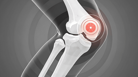 Vegan Joint & Bone Support Supplement | Balanced Nutrition for Active Lifestyles - Metabolics