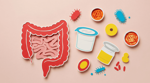 What Does the Research Say About Probiotics? - Metabolics