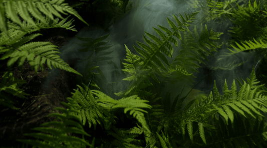 What Is Sacha Inchi Oil? The Plant-Based Omega-3 Worth Knowing About - Metabolics