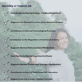 Text detailing the benefits of Ionic Magnesium with a blurred background of a woman in trees