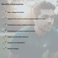 Adrenalmax (Pot Of 120 Capsules) - Metabolics