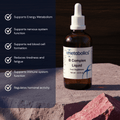 Fast - Absorbing, High - Strength B Complex Liquid – Supports Energy, Mood, Skin & Cognitive Function - Metabolics