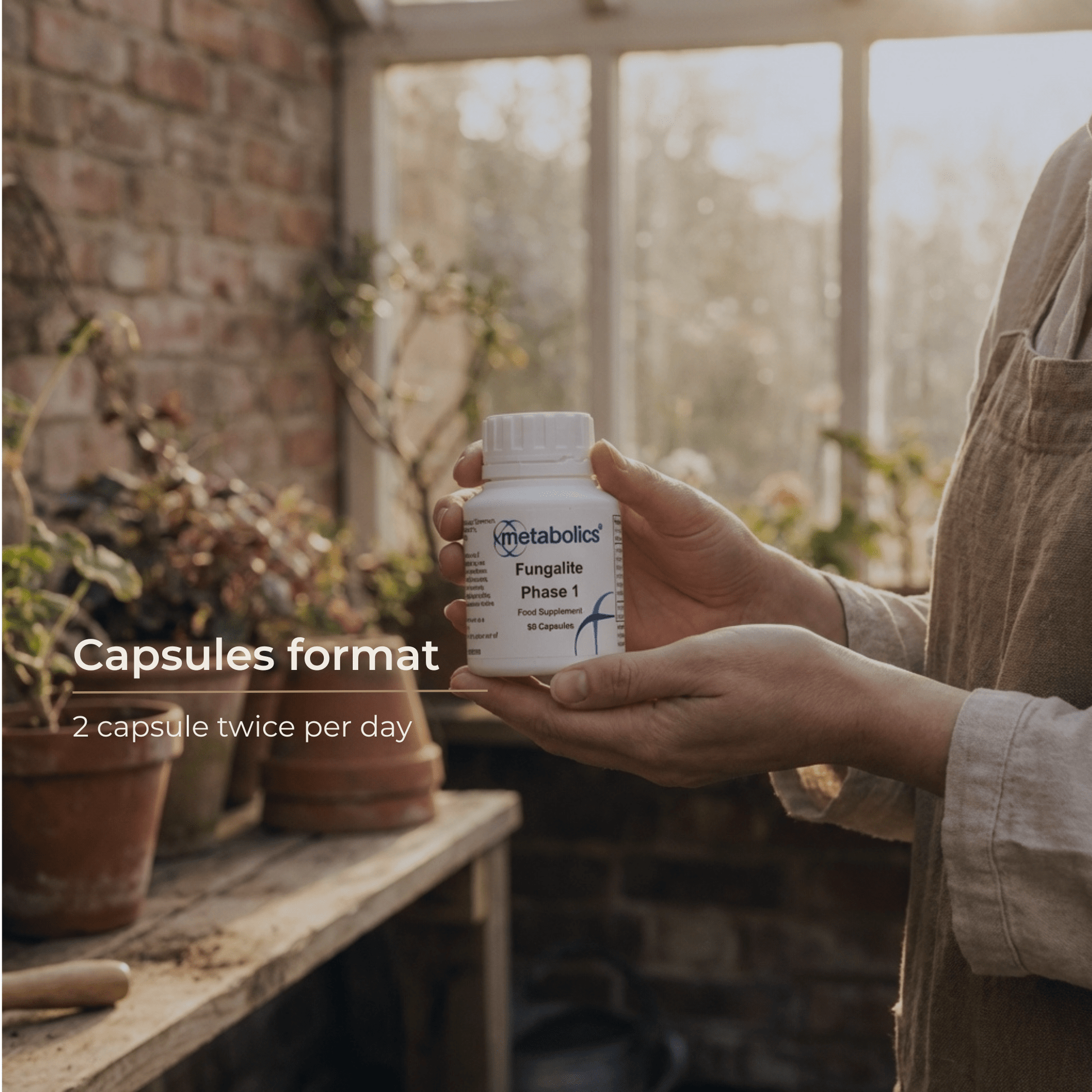 Fungalite Phase 1 - 90 Capsules - Metabolics