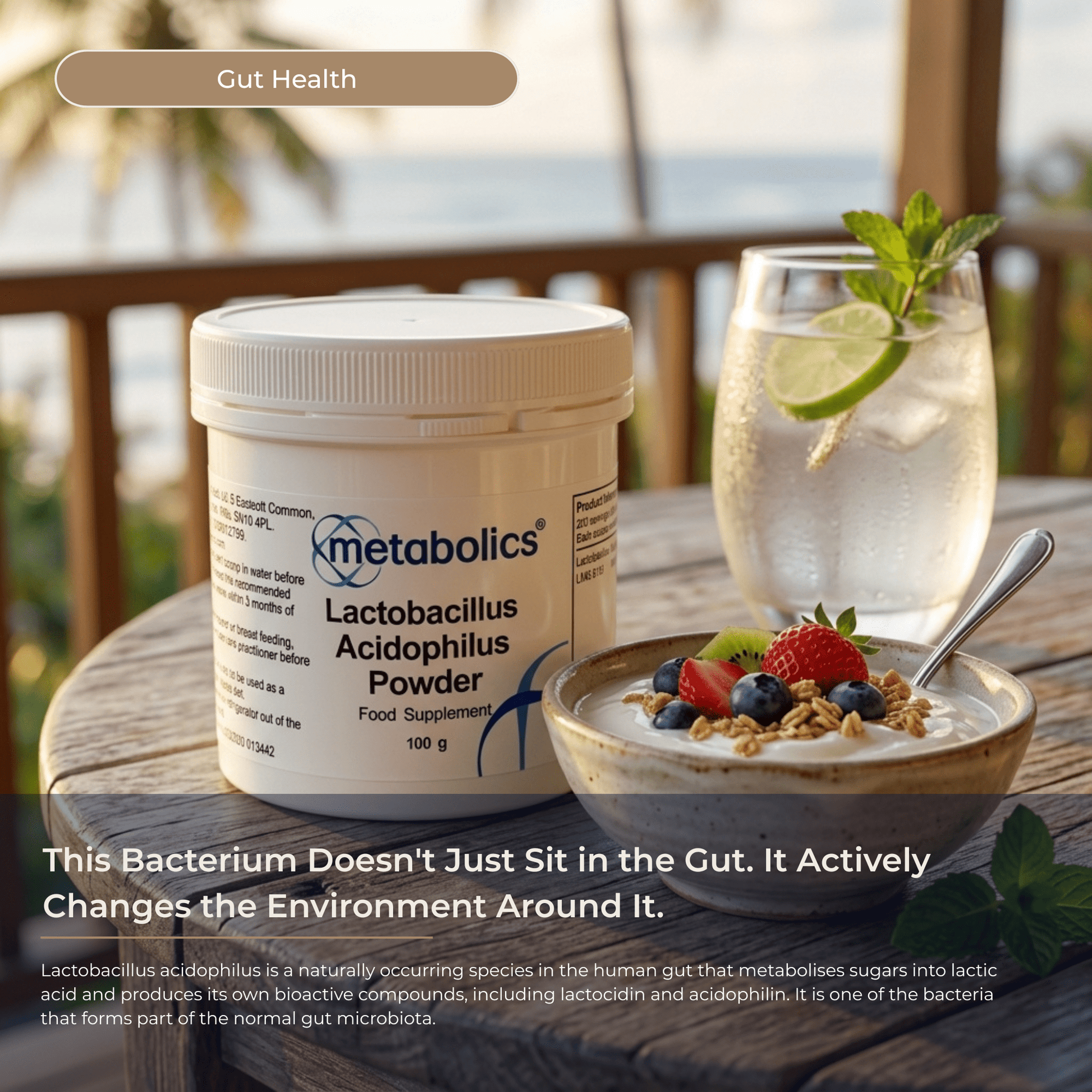 Lactobacillus Acidophilus Powder (100g) - Metabolics