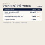 Niacin and Pantothenic Acid for the Reduction of Tiredness and Fatigue | Acetyl CoA Support Formula | 60 Capsules - Metabolics