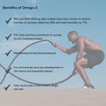 Omega 3 - Metabolics