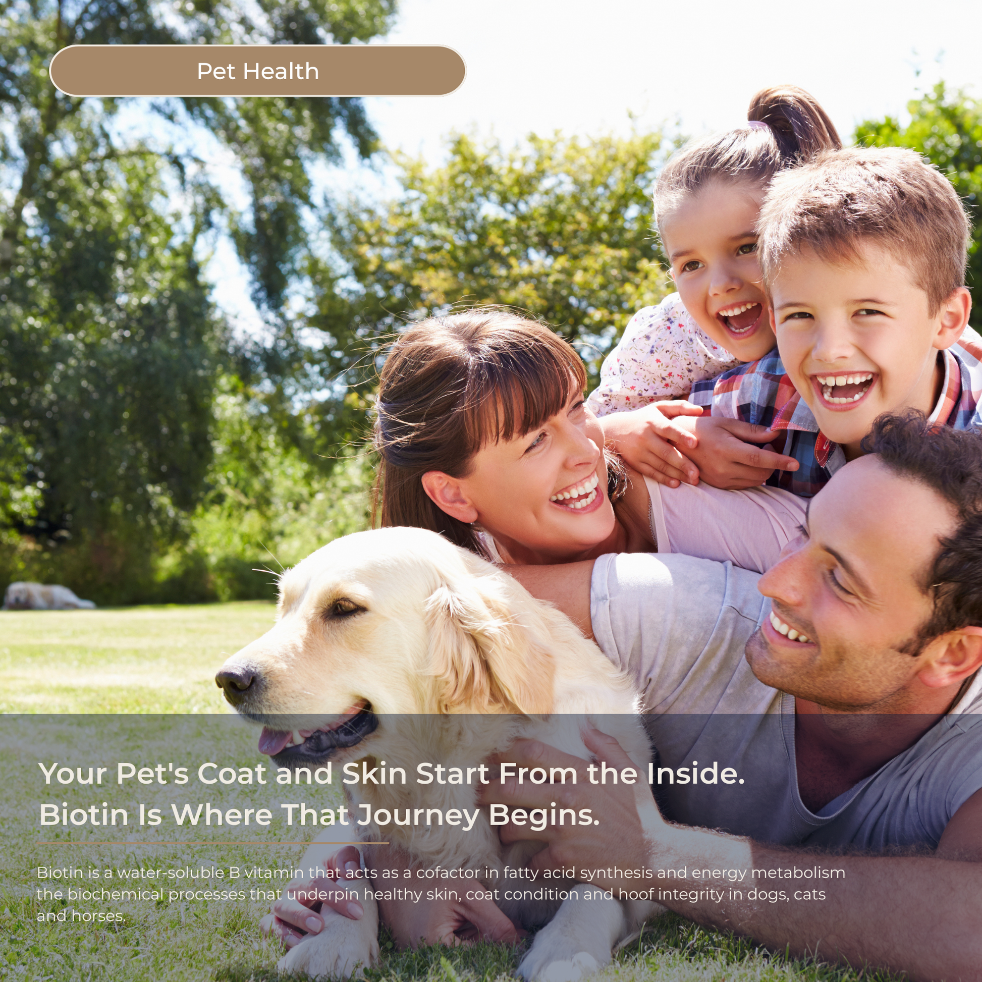 Petabolics Biotin (with potassium carbonate) Liquid Supplement - Metabolics