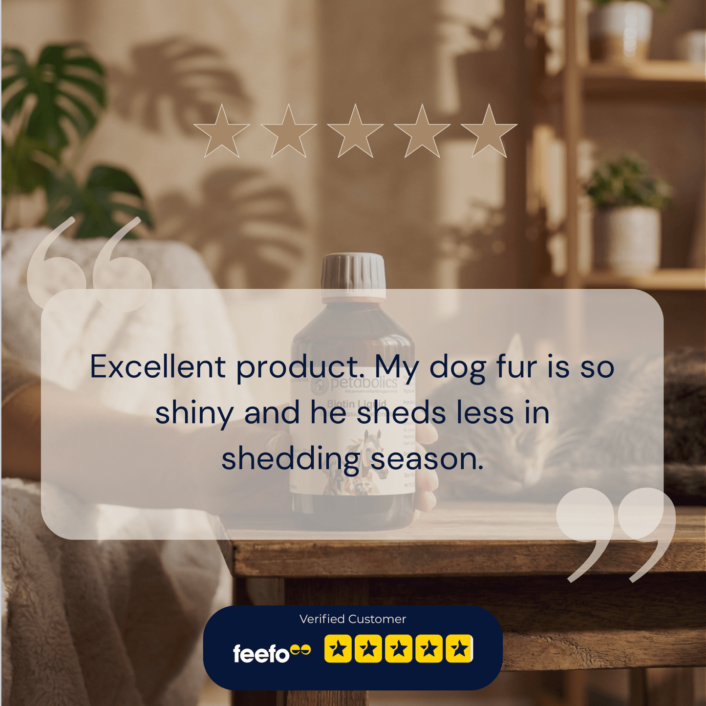 Petabolics Biotin (with potassium carbonate) Liquid Supplement - Metabolics