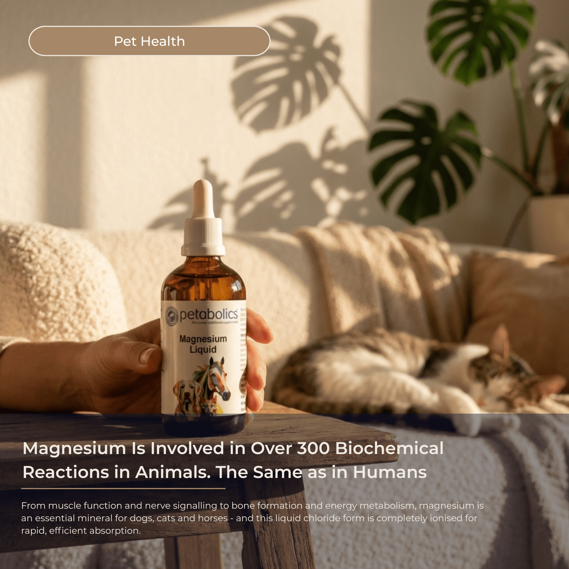 Petabolics Magnesium Liquid - Metabolics