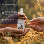 Petabolics Vitamin B12 Cyanocobalamin Liquid Supplement - Metabolics