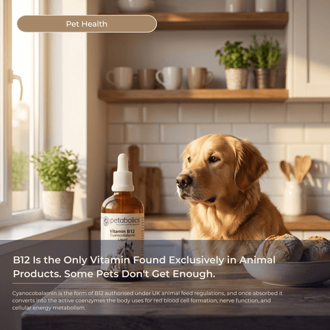 Petabolics Vitamin B12 Cyanocobalamin Liquid Supplement - Metabolics