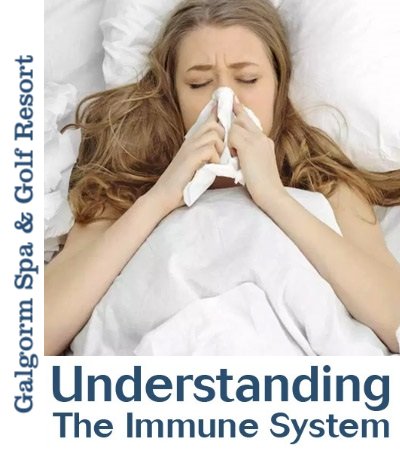 The Immune System Seminar - Galgorm Spa & Golf Resort - Metabolics