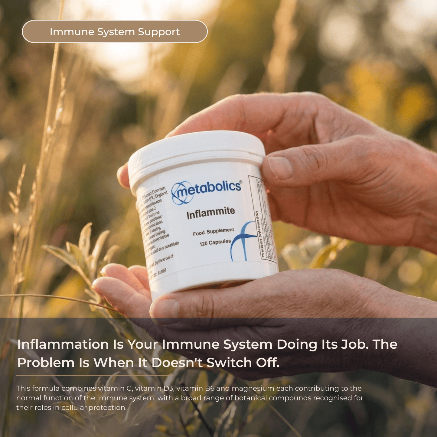 US Inflammite - 120 Capsules - Metabolics