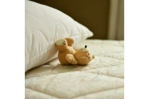 mattress and pillow sleep support