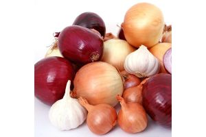 onions and garlic antioxidant