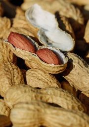 a nut a day shown to be good for health
