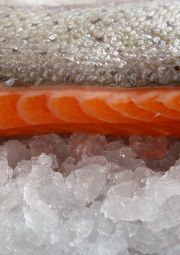 astaxanthin in salmon