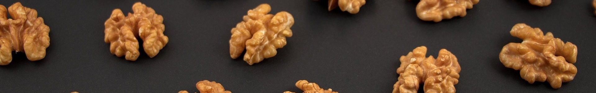 brain walnut representation