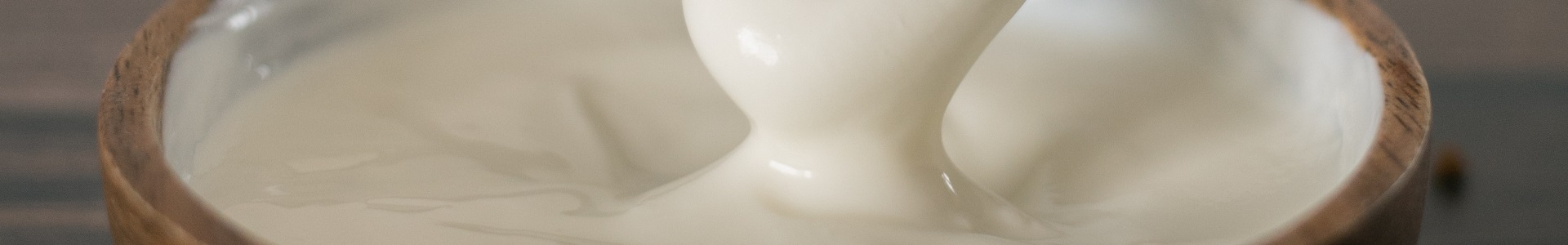 yoghurt probiotic for gut health
